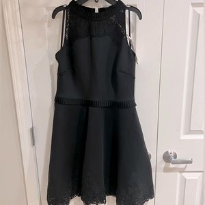 Amazing NWT Ted Baker dress. Gorgeous lace detail at neck and hem. Size 3